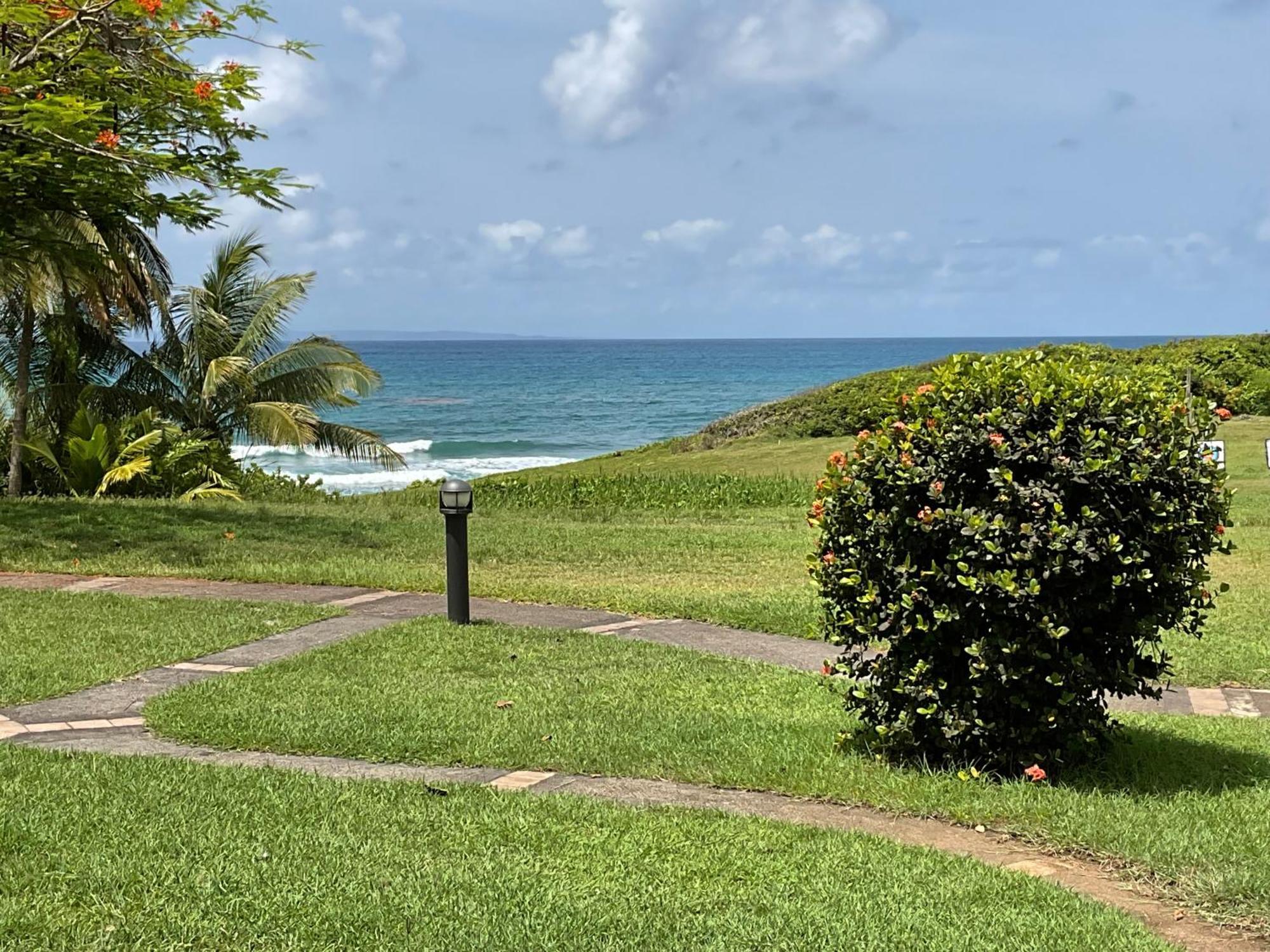 Martial Tropiques Et Martial Coco & Plage, 2 Appartements Refaits A Neuf Vue Mer, Village De Vacances A Ste Anne 상트 안느 외부 사진